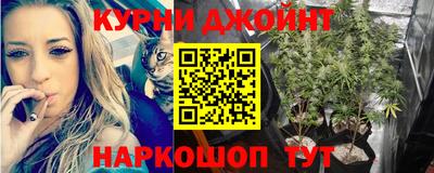 МДПВ Краснодар