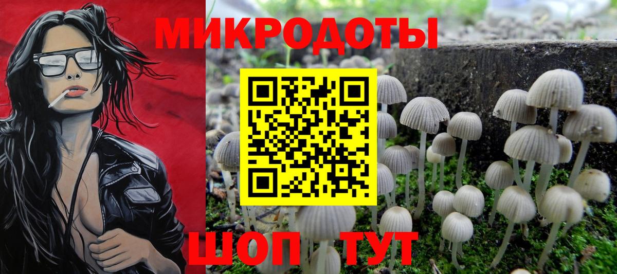 Кириши  Псилоцибиновые грибы Psilocybine cubensis  Вход с VPN 